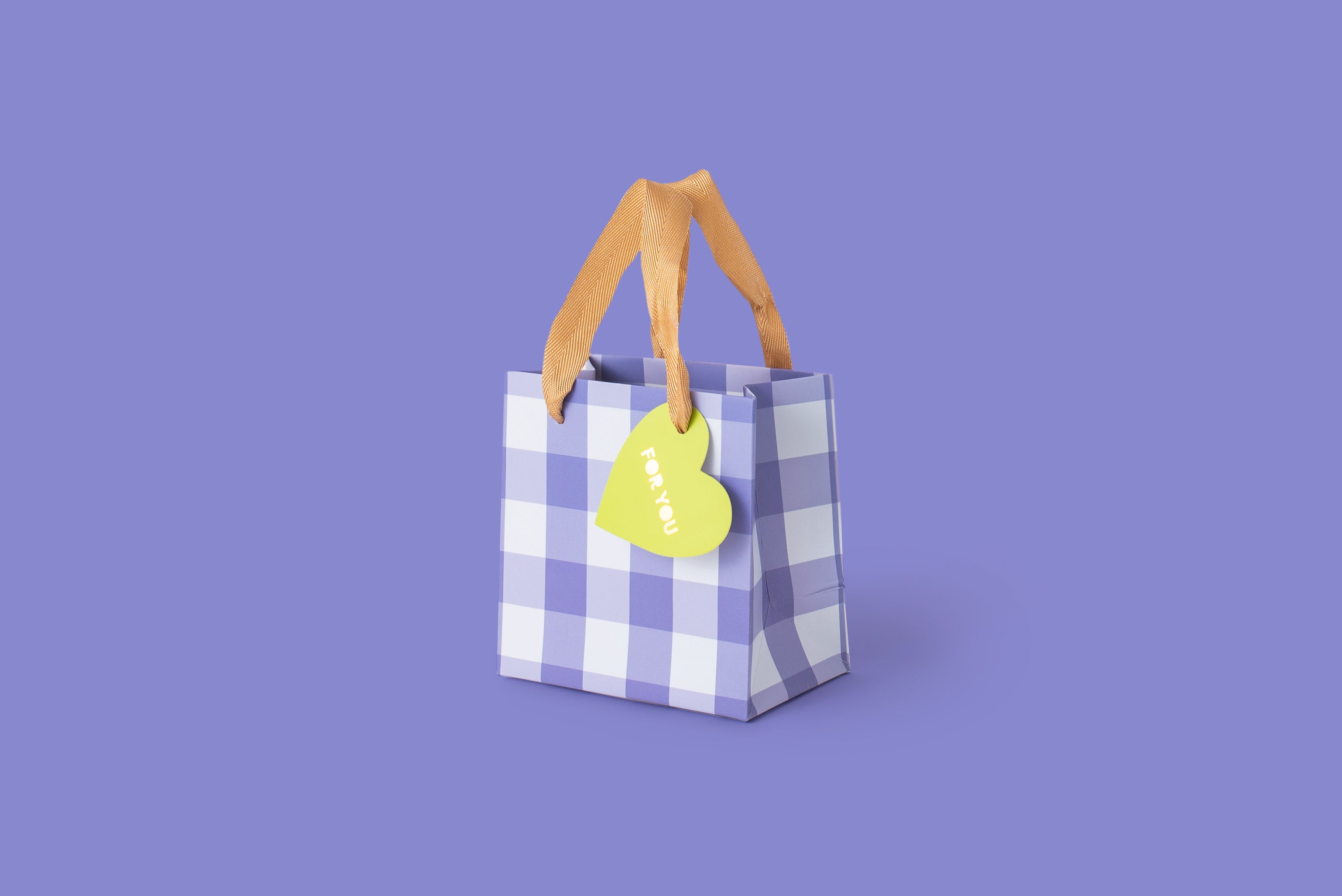 Blue Gingham Gift Bags (2 Sizes)