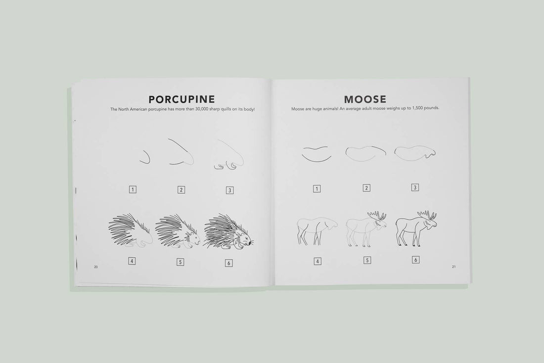 Mushrooms &amp; Woodland Creatures: A Kids Drawing Book (fall)