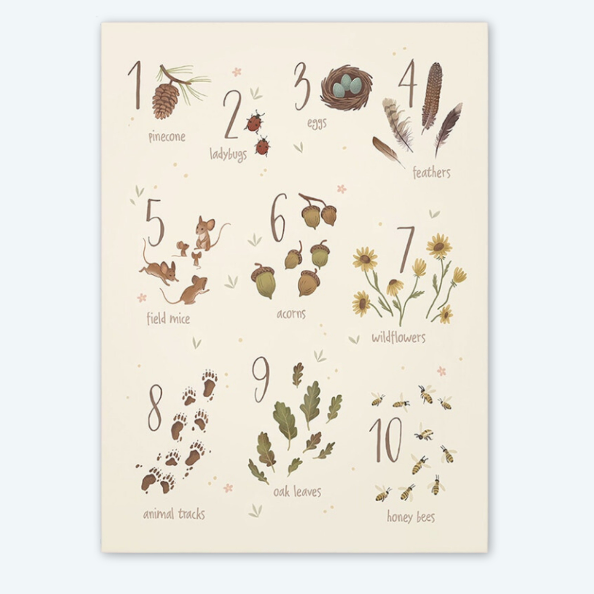 Woodland Alphabet and Numbers Canvas Print for Baby Nursery - Gathering Littles