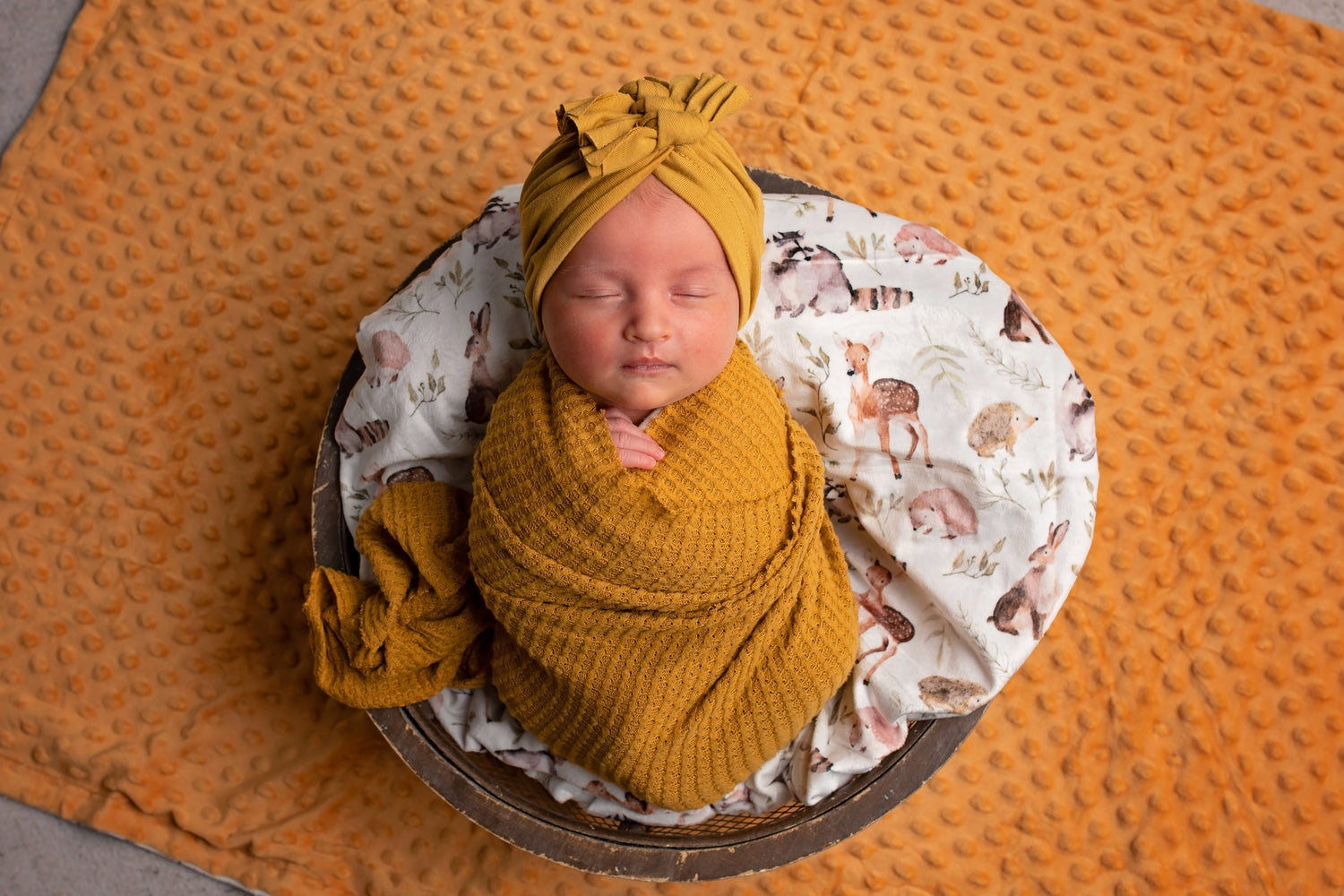 Forest Friends Minky Blanket