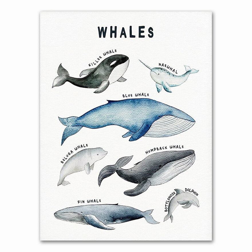 Watercolor Marine Animal Nursery Canvas Art Print - Gathering Littles