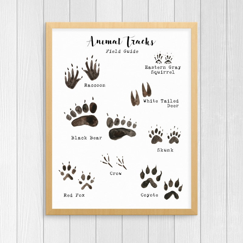 Woodland Animal Tracks Poster Canvas Art Prints , Animal Tracking Footprints Canvas Painting Wall Picture Rustic Nature Decor - Gathering Littles