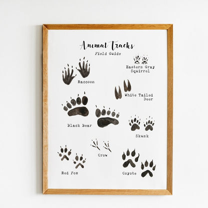 Woodland Animal Tracks Poster Canvas Art Prints , Animal Tracking Footprints Canvas Painting Wall Picture Rustic Nature Decor - Gathering Littles