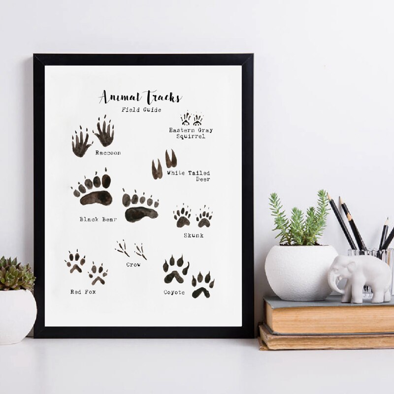 Woodland Animal Tracks Poster Canvas Art Prints , Animal Tracking Footprints Canvas Painting Wall Picture Rustic Nature Decor - Gathering Littles