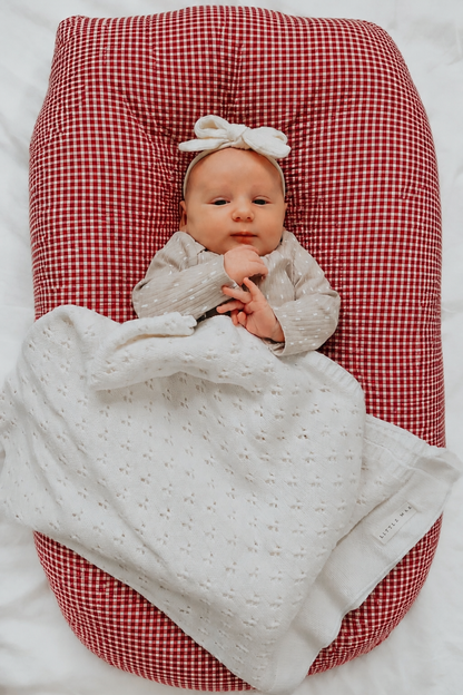 Red Gingham Ruffle Baby Lounger Cover