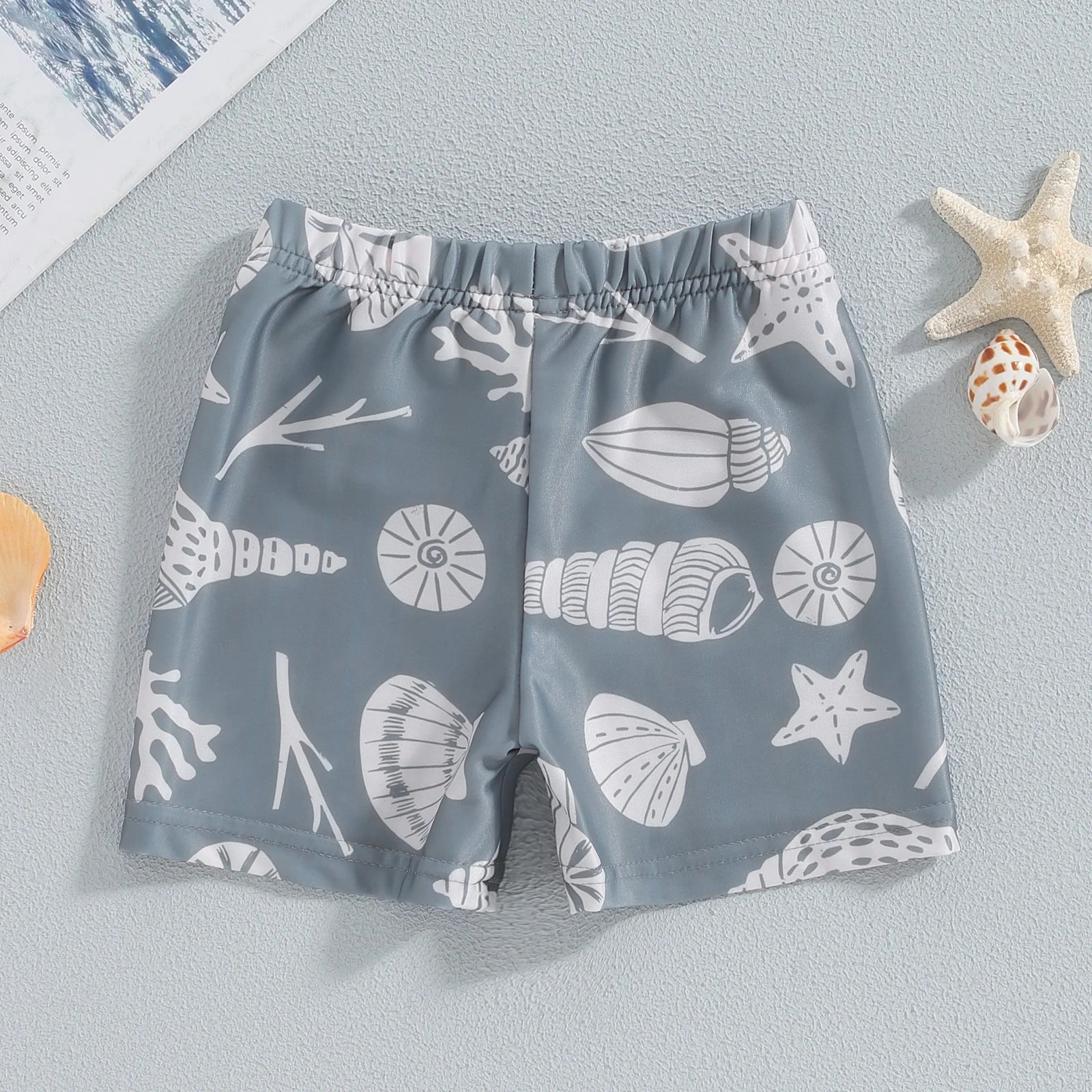 Toddler Boys Sea Shell Print Swim Shorts