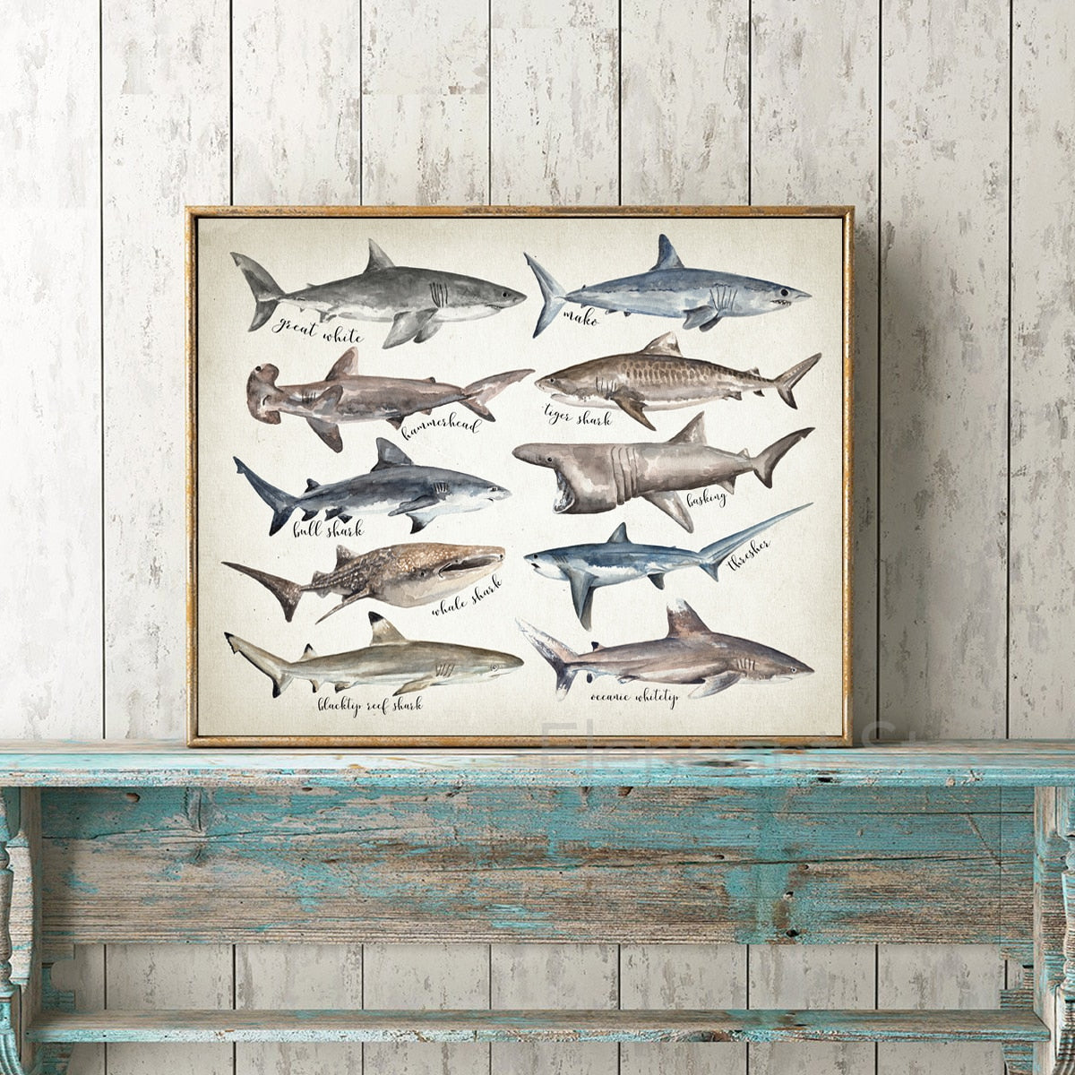 Whale and Shark Watercolor Prints - Educational Nursery Wall Art - Gathering Littles