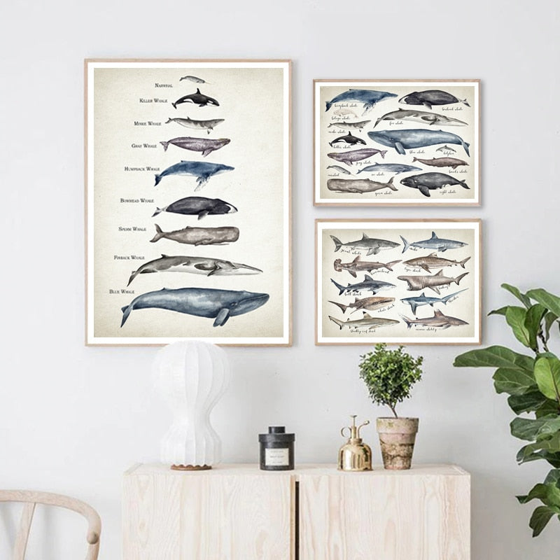 Whale and Shark Watercolor Prints - Educational Nursery Wall Art - Gathering Littles