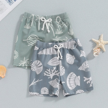 Toddler Boys Sea Shell Print Swim Shorts