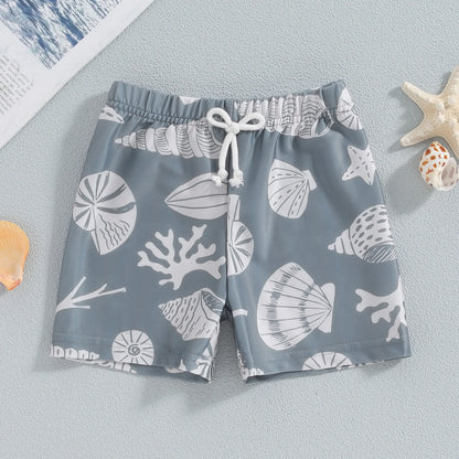 Toddler Boys Sea Shell Print Swim Shorts