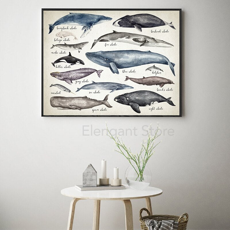 Whale and Shark Watercolor Prints - Educational Nursery Wall Art - Gathering Littles