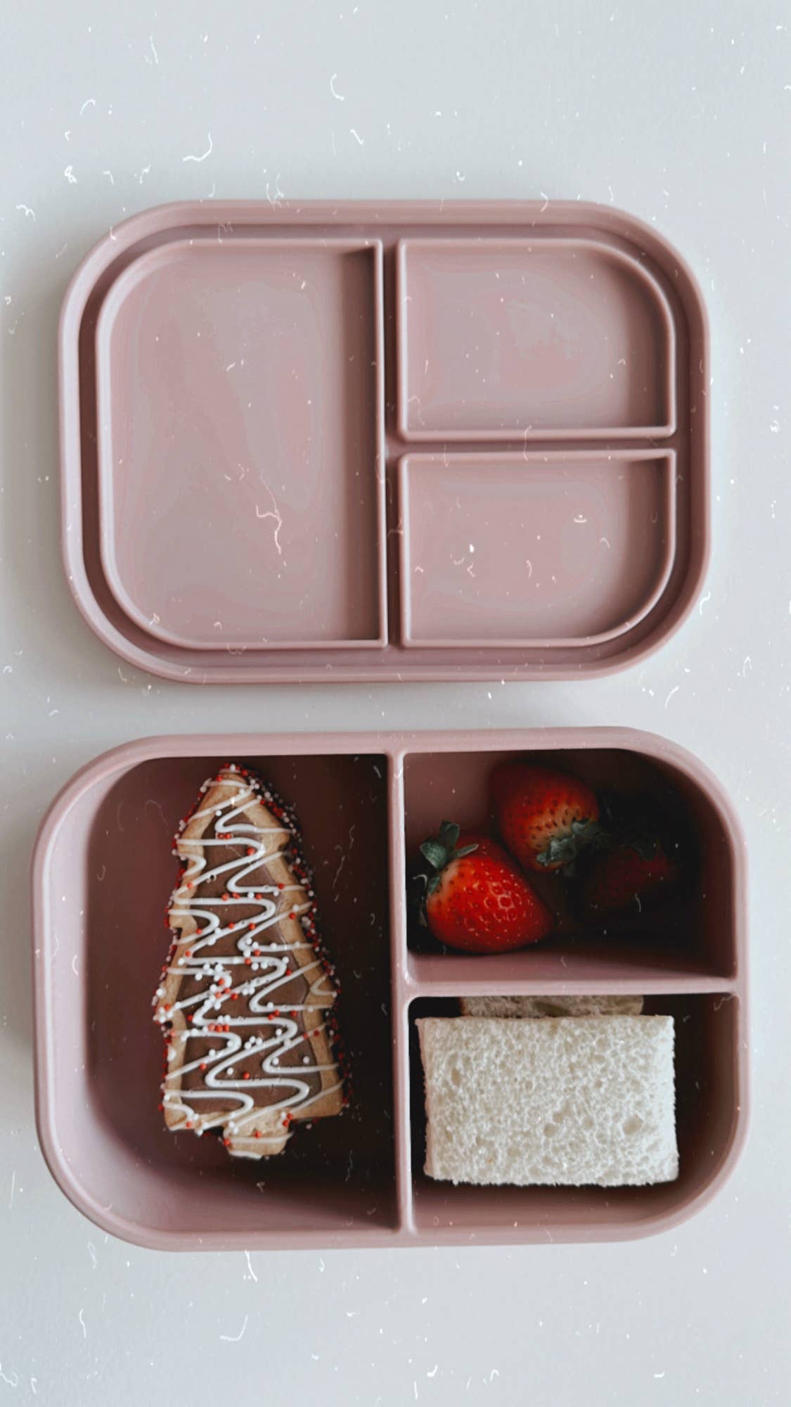 Ali+Oli Leakproof Silicone Bento Box (Rose) Back to School