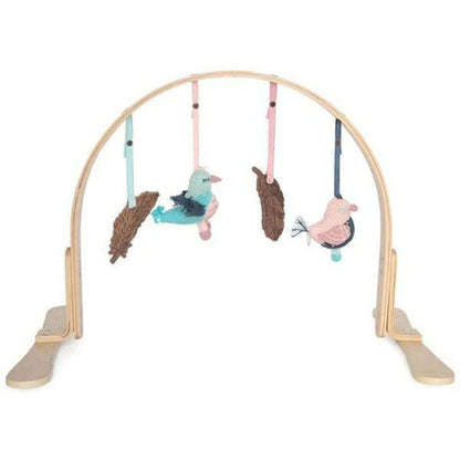 Natural Play Gym