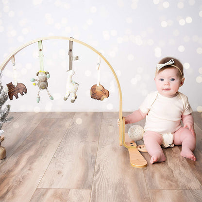 Natural Play Gym