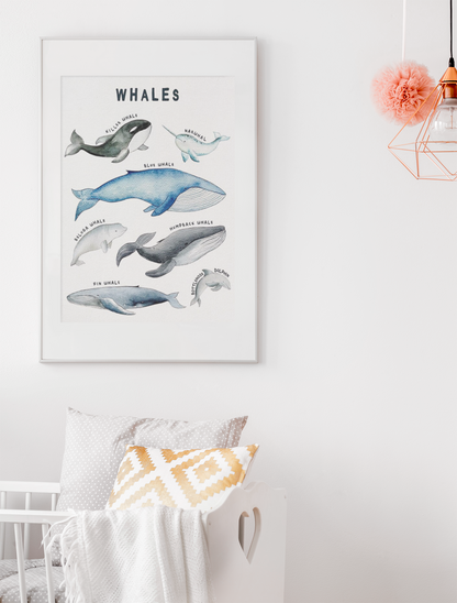 Watercolor Marine Animal Nursery Canvas Art Print - Gathering Littles