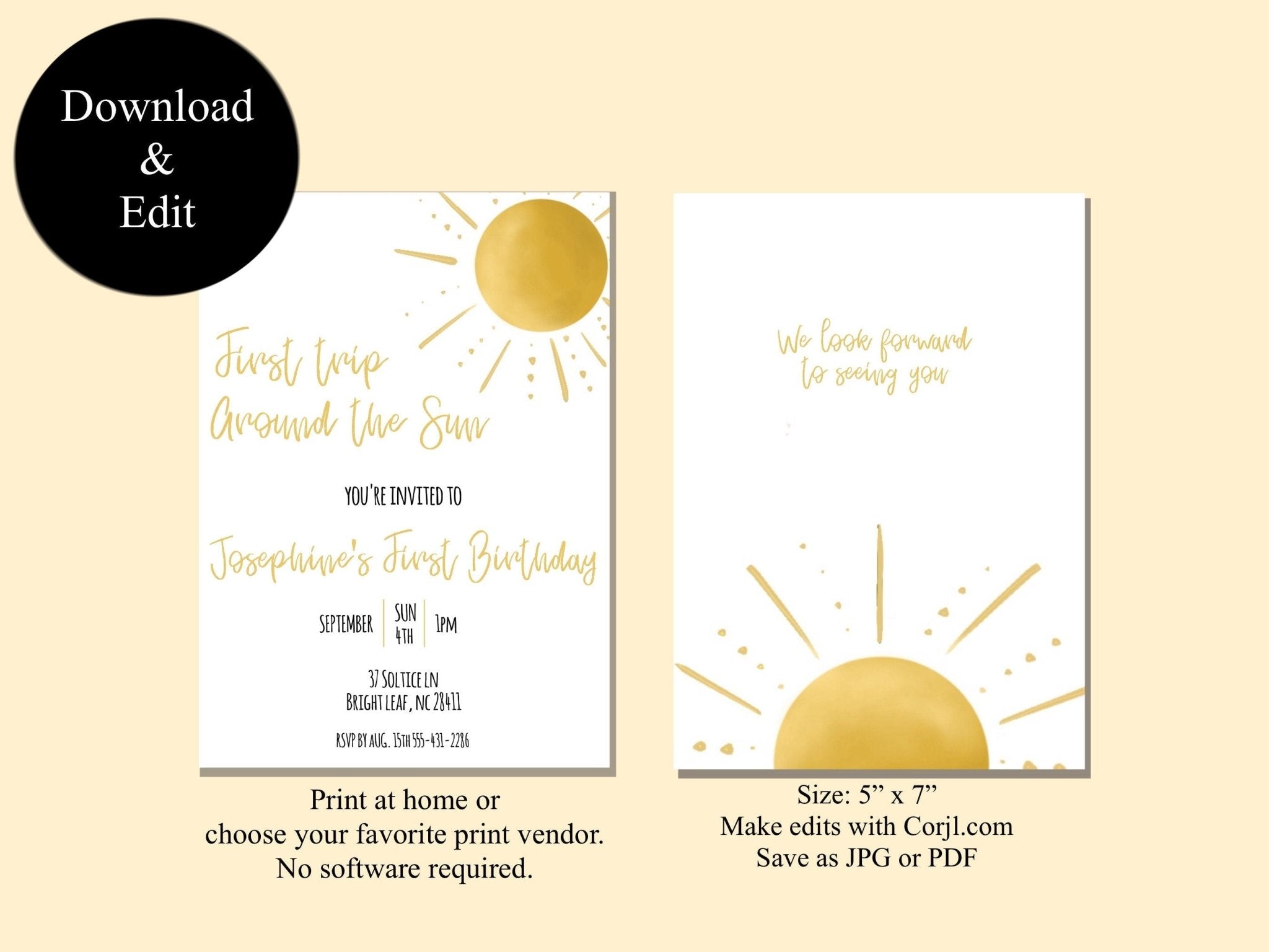 First Trip Around the Sun Birthday Invitation | Baby&